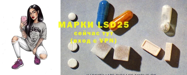 МДПВ Липки