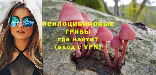 МДПВ Липки