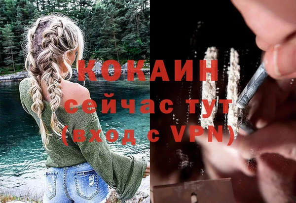 соль ск Вяземский