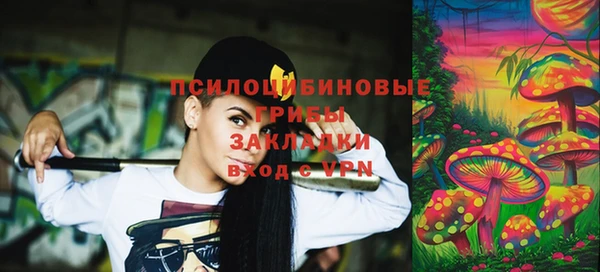 МДПВ Липки