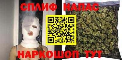 гашик Кимры