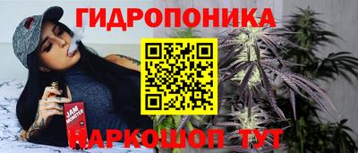 гашик Кимры