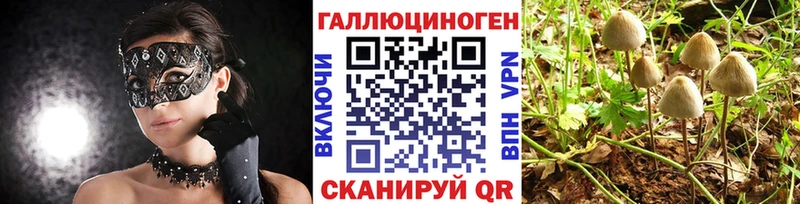 купить   Наро-Фоминск  Галлюциногенные грибы GOLDEN TEACHER 