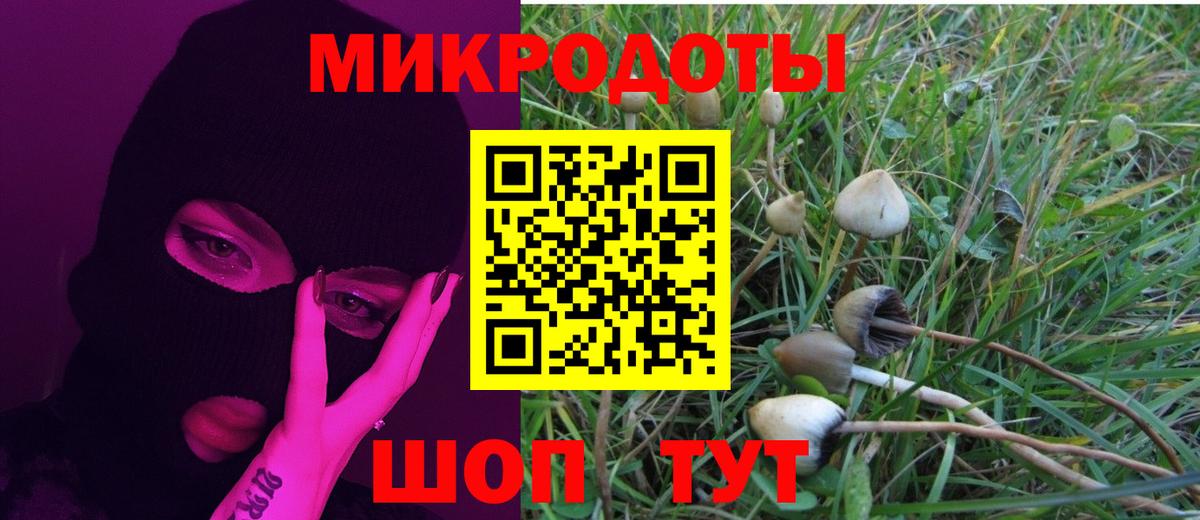 Галлюциногенные грибы прущие грибы Наро-Фоминск